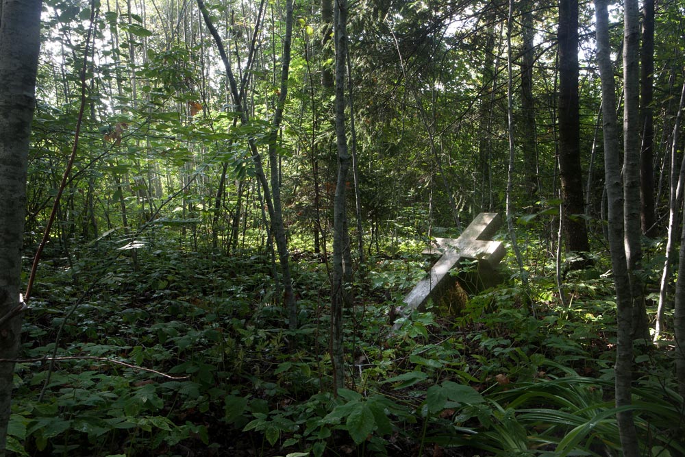 The last burial in the old German cemetery in Kurmāle parish was of an infant in 1939. Today the graveyard is largely forgotten except by a few local people. The headstones have been broken by falling trees and the cemetery is now overgrown and being reclaimed by nature. In October 1939 Germany signed an agreement with Latvia to facilitate the repatriation of the Baltic Germans. About 60,000 Latvian citizens of German extraction left Latvia and most never returned.                                                                                                                                                                                                               "Farewell… I will dream of you still as a baby, Treading the earth with little strong toes, The earth where already so many lie buried.  This song to my son, is come to its close". -  Pavel Antokolsky